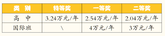 2023年成都市成都棠湖外國語學校有沒有獎學金，政策是什么