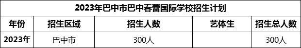 2024年巴中市巴中春蕾國際學(xué)校招生計劃是多少？