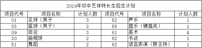 華陽中學2019年特長生計劃